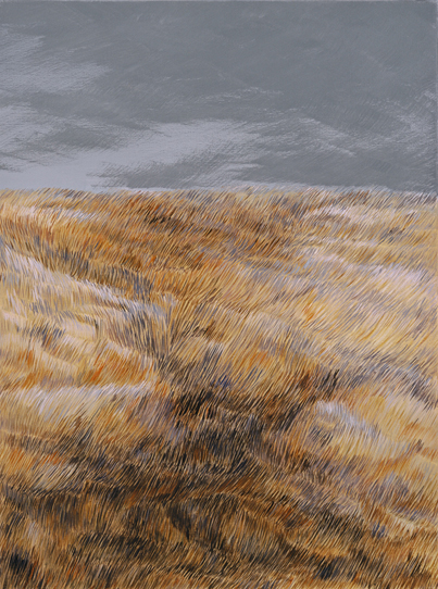 Oil on Canvas, 80x60 cm.